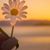 Debi Driver's profile image
