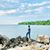 Ashish Wankar's profile image