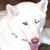 Chris Siemens's profile image