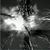 Kjetil Grim Remen's profile image
