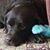 Jennifer Fischer Novy's profile image