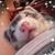 Serenity Palmer's profile image