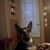 Kathryn Clements Hurlbut's profile image