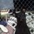 Rachel Valdez's profile image