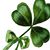 Marie Brown's profile image