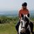 Cindy Ledsome's profile image