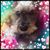 Lori Dubin Brooks's profile image