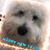 Paula Kula's profile image