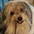 Paul Gindes's profile image