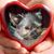 Michelle Hasselback Flaherty's profile image