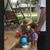 Patti Mchenry's profile image