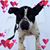 Lydia Linkous's profile image