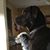 Kathleen Gill's profile image
