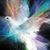 Dottie Ruby's profile image
