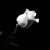 Melissa Gunkel's profile image
