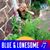 Kathleen O'Donnell's profile image