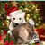 Joyce Murdoch Aleckna's profile image