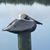 Donna Cook's profile image