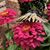 JoAnna Pendergrass's profile image