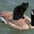 Ben Wilson's profile image