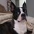 Vivian Carrazana's profile image
