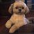 Terry Bunda Manuel's profile image