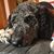 Sally Adams's profile image