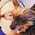 Michelle Baggett Laflin's profile image