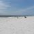 Charlotte Hutto's profile image