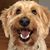 Kim Reid Bos's profile image