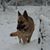 Nancy Lenig's profile image