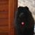 Barbara Houser's profile image