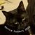 Tara K. Harrison's profile image