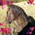 Shawna Burkhead's profile image
