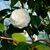 Jane Delage's profile image
