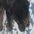 Tom Hanson's profile image