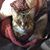 Marla Willens Freeman's profile image