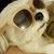 Jiwon Chang's profile image