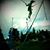 Heidi Ackerman Swetich's profile image