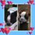 Michelle Thornton Methvien's profile image
