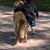 Cynthia Gregory Tunnell's profile image