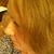 Anna Tubolets Bashlovka's profile image