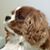 Chanda Sperry's profile image