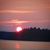 Diana Wilson's profile image