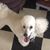 Michele Dougherty's profile image