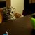 Susan East Nelson's profile image