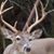 Mark O'Dell's profile image