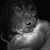 Tracy Thacker Hyatt's profile image