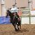 Annette Crandall's profile image