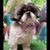 Helene Maclellan's profile image